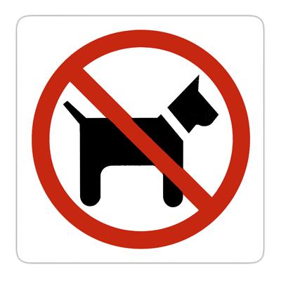 Chiens interdit dans le gite